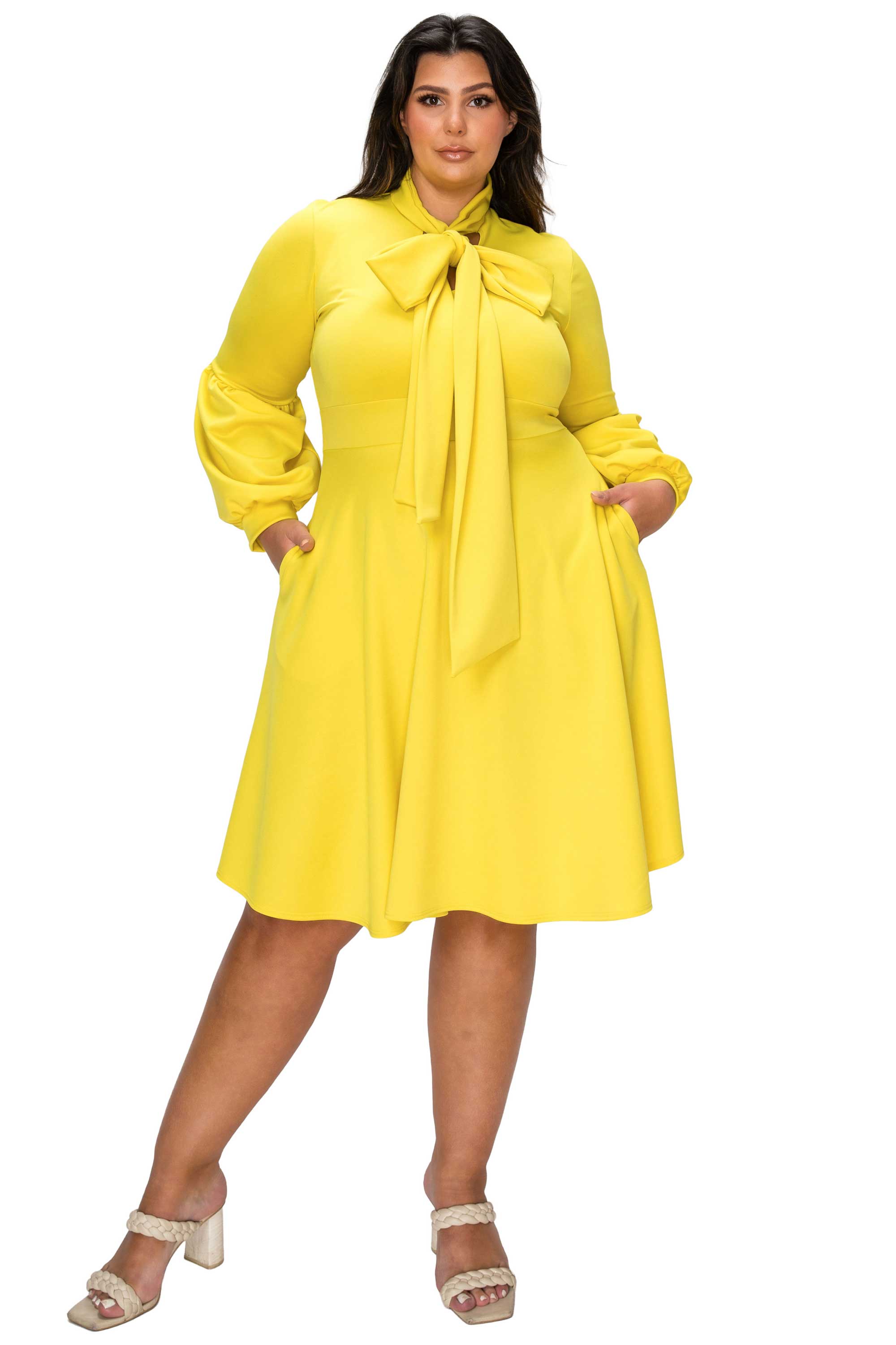 Bekah Flare Pocket Dress